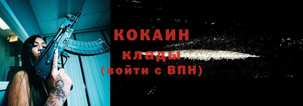 ешки Няндома