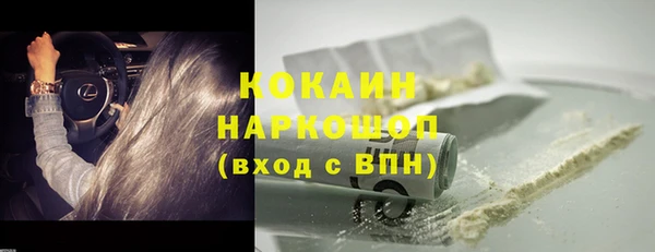 ешки Няндома