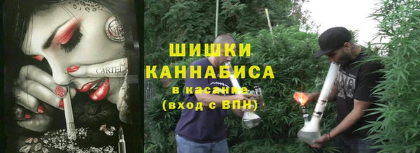 ешки Няндома