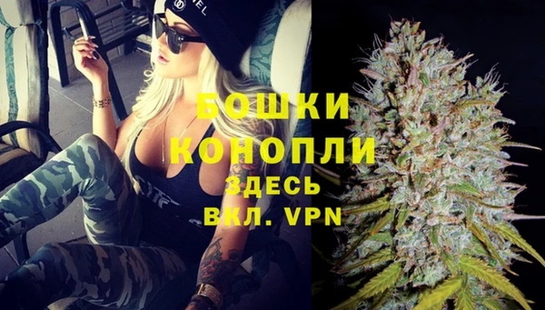 ешки Няндома
